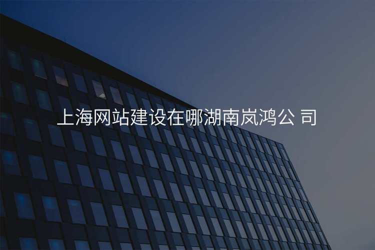 网站建设中的外包与偏见:飞沐的定义与定位